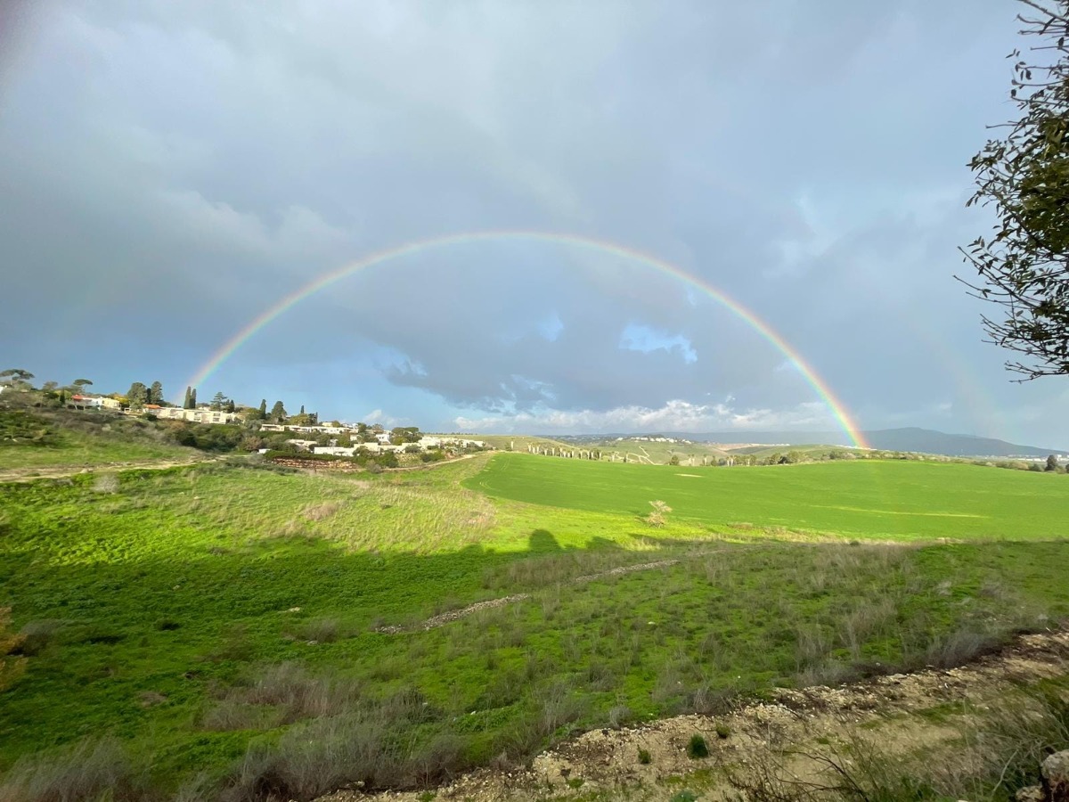 רשת